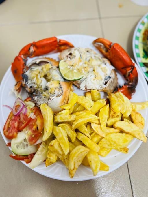 Lui Ushongo Beach House Pangani Kültér fotó